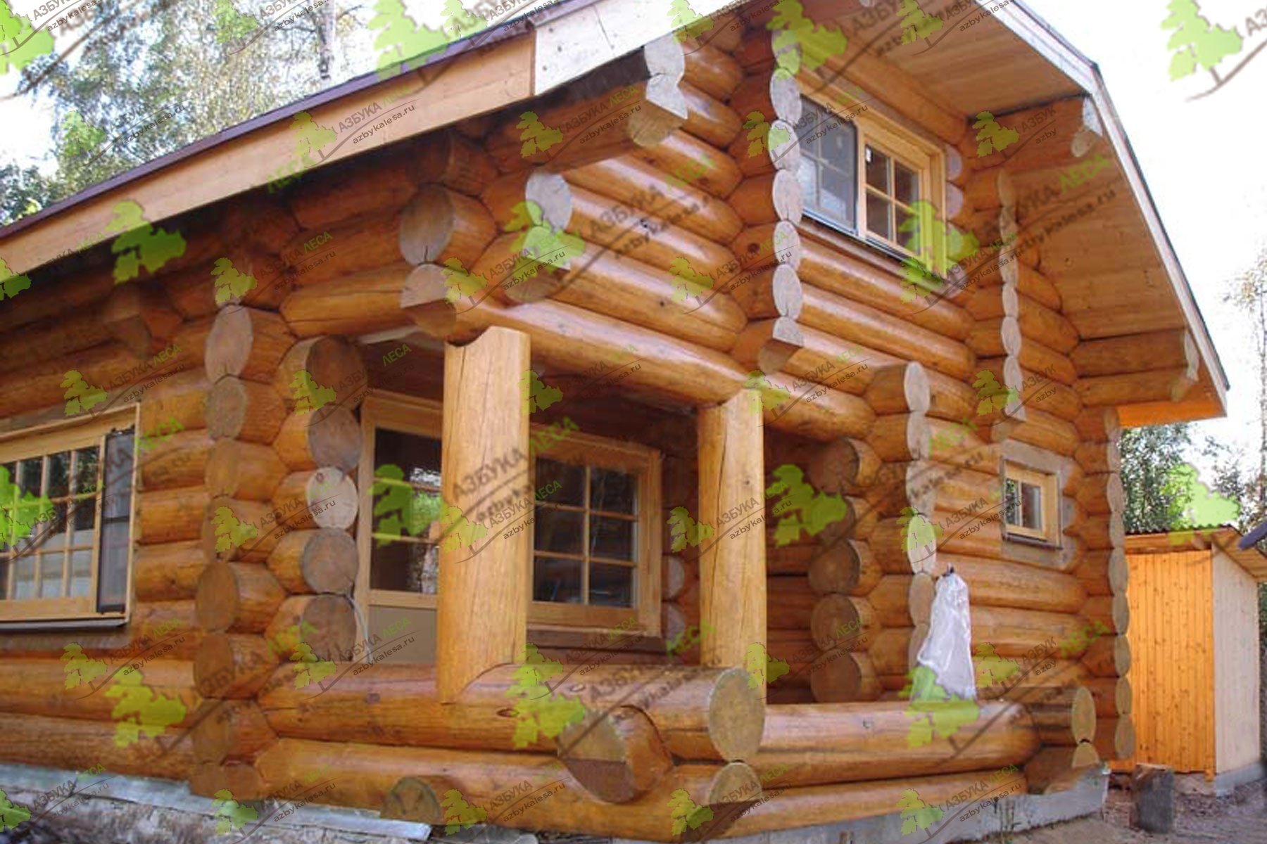 Деревянные дома из бревна: мифы и реальность