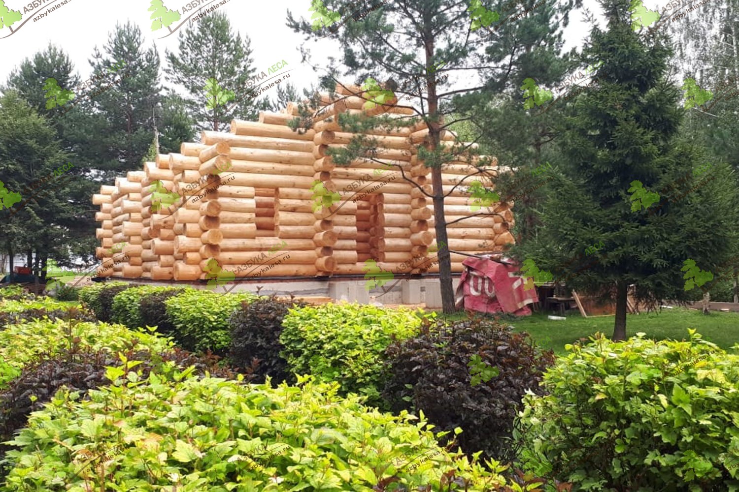 Строительство деревянной бани из бревна