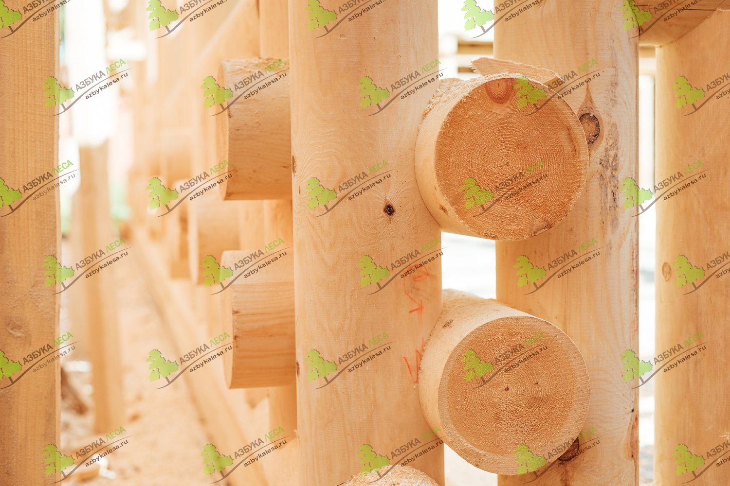 Строительство деревянного навеса