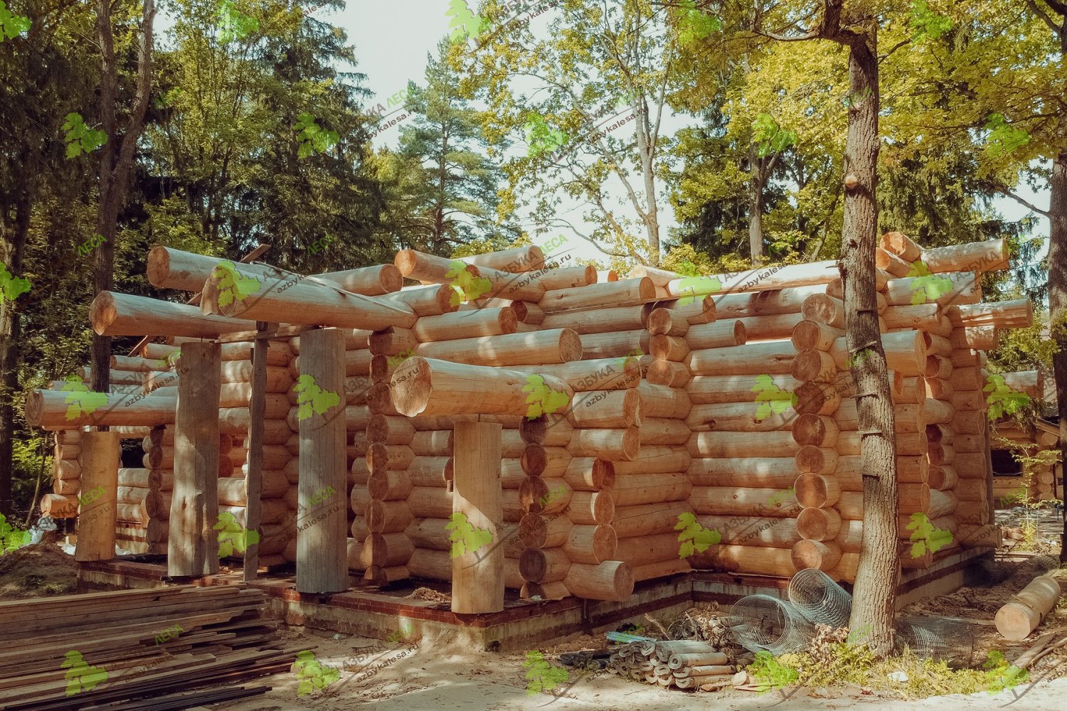 Фото деревянного дома