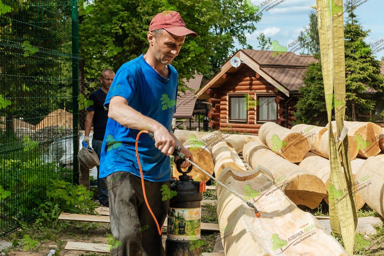 Антисептирование бревна